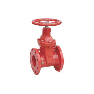 Flanged NRS gate valve