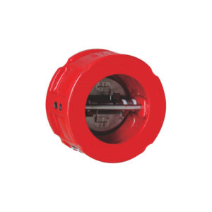 Wafer check valve