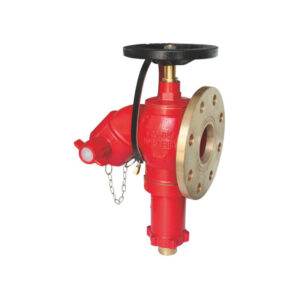 Bib-nosed high pressure wet landing valve (PRV)
