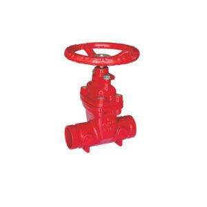 Grooved NRS gate valve