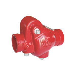 Grooved swing check valve