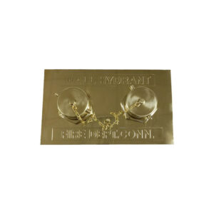 Flush fire department outlet connection (FDC)