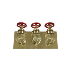 Fire pump test connection
