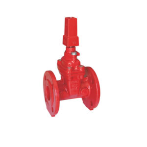 Flanged NRS gate valve with stem cap