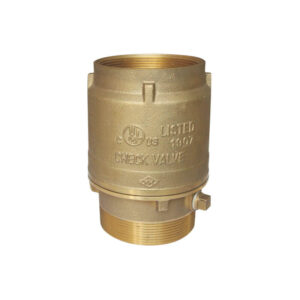 Swing check valve
